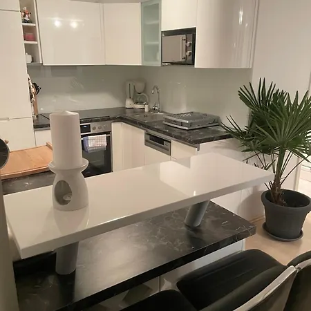 Moderne Mit Garten