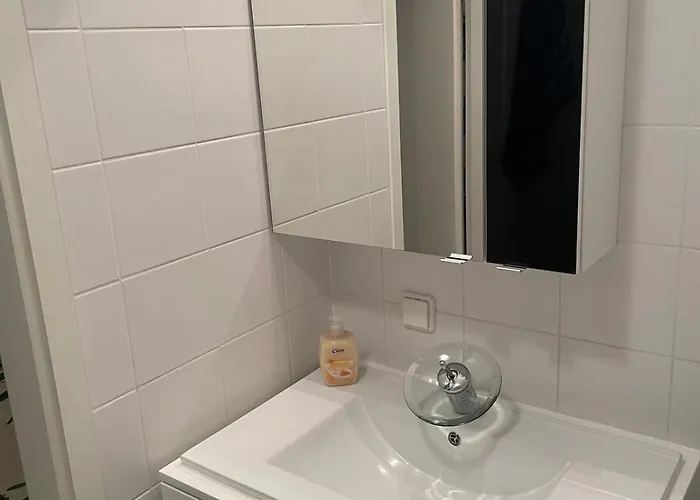 Moderne Mit Garten * ترايسكيرتشين